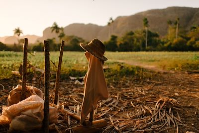 © Joseph Haeberle Photography / Stocksy - Ferme dans la vallée de Vinales - Cuba Ferme dans la vallée de Vinales - Cuba