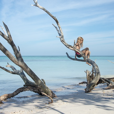 Rencontres Cuba