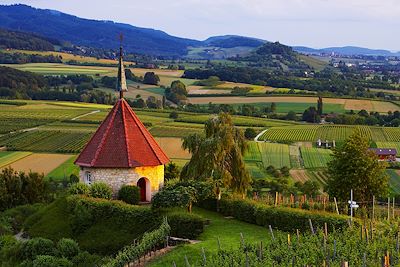 Markgräflerland - Forêt Noire - Allemagne