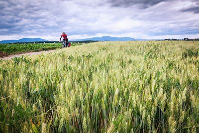 Voyage Lacs, vallées et fleuves de Munich à Venise à vélo 2