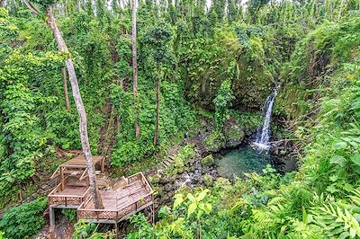 © Harald Spilker / Alamy / Hemis - Emerald Pool - Ile de la Dominique Emerald Pool - Ile de la Dominique