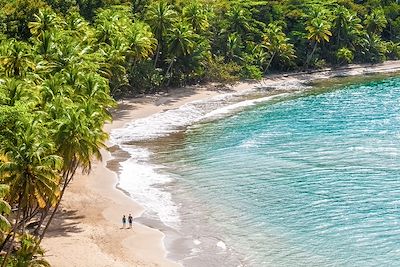 La Dominique, entre jungle et volcans
