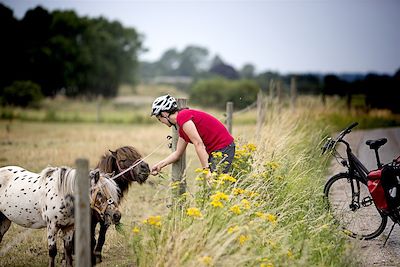 Rencontre à vélo - Danemark