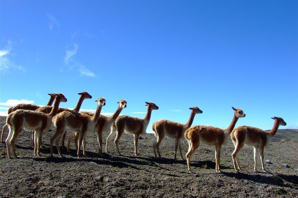Voyage La ronde des volcans d'Equateur 3