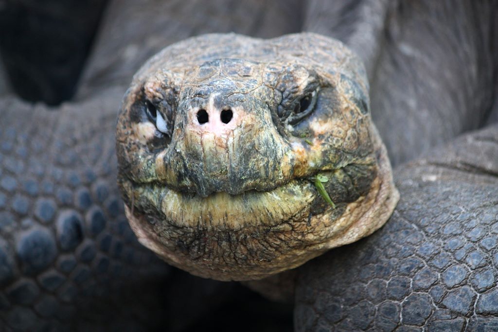 Voyage Objectif Galápagos 1