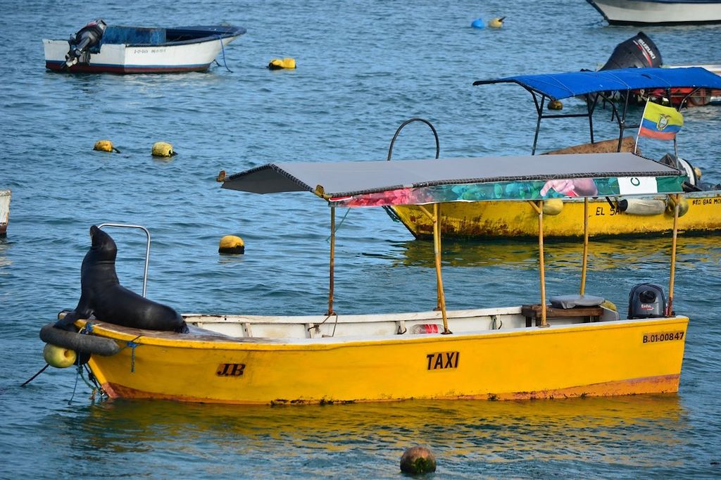 Voyage Objectif Galápagos 3