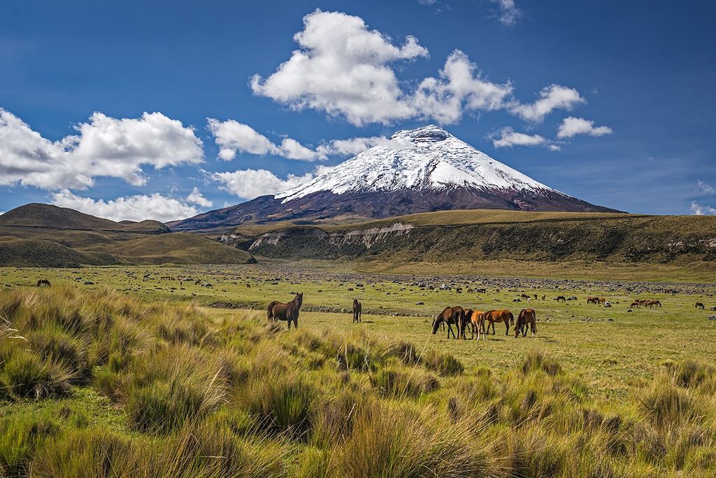 Trekking au cœur des Andes