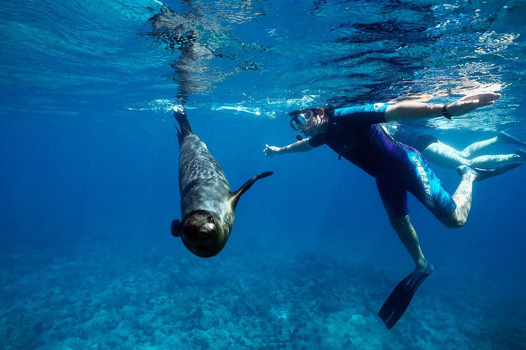 Voyage On a marché sur les Galápagos ! 2
