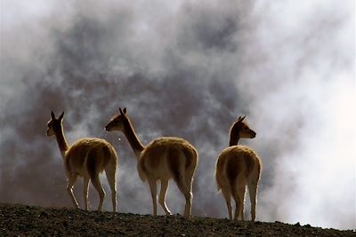 Voyage Sur la route des volcans 2