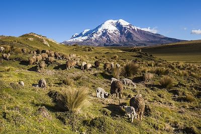 © PatricioHidalgoP / iStock - Volcan Chimborazo - Équateur Volcan Chimborazo - Équateur
