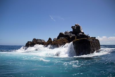 Rocher - archipel des Galapagos