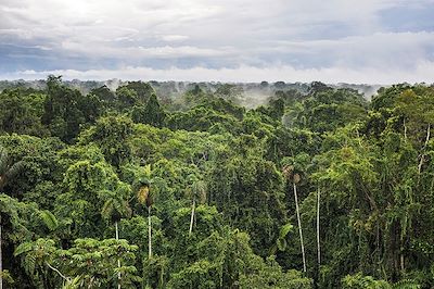 Jungle, volcans et archipel des Galápagos