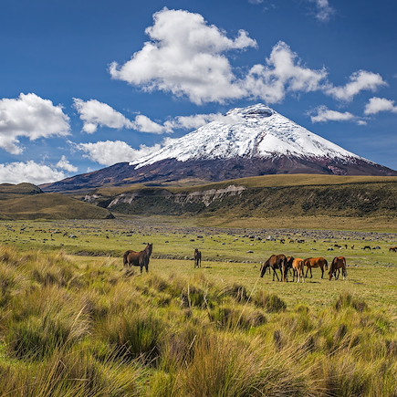 Trekking au cœur des Andes