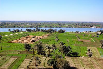 Ferme agricole - Nil - Egypte