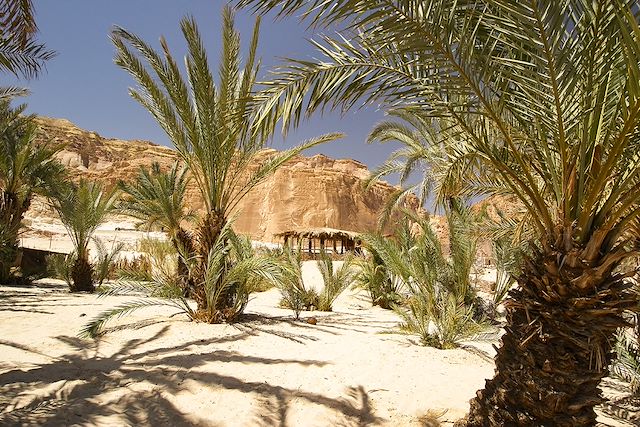 Découverte : Désert Blanc et oasis du Sud Voyage Désert Blanc et oasis du Sud