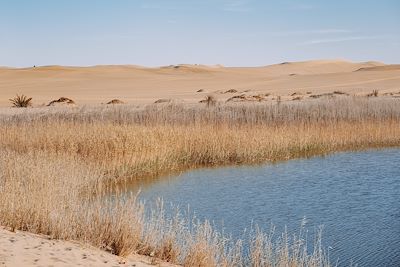 Oasis de Siwa - Egypte