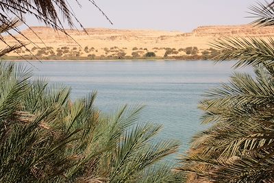 Oasis de Siwa - Egypte