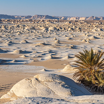 Désert Blanc et oasis du Sud