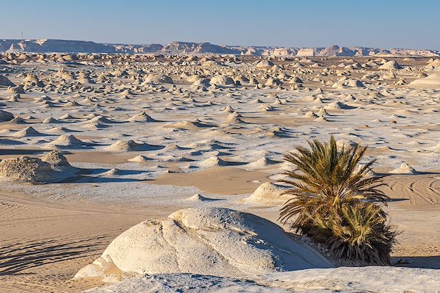 Voyage Désert Blanc et oasis du Sud