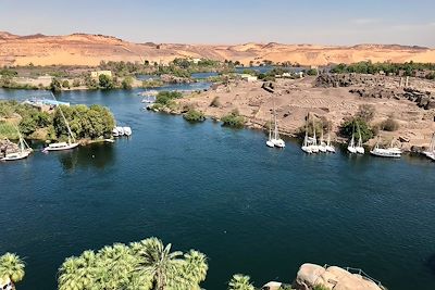 Les berges du Nil - Assouan - Egypte