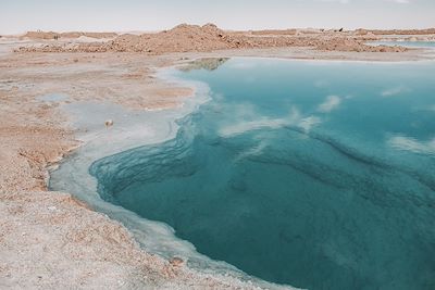 Oasis de Siwa - Egypte