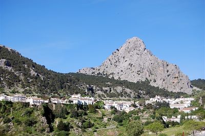 Région de Grazalema - Andalousie - Espagne