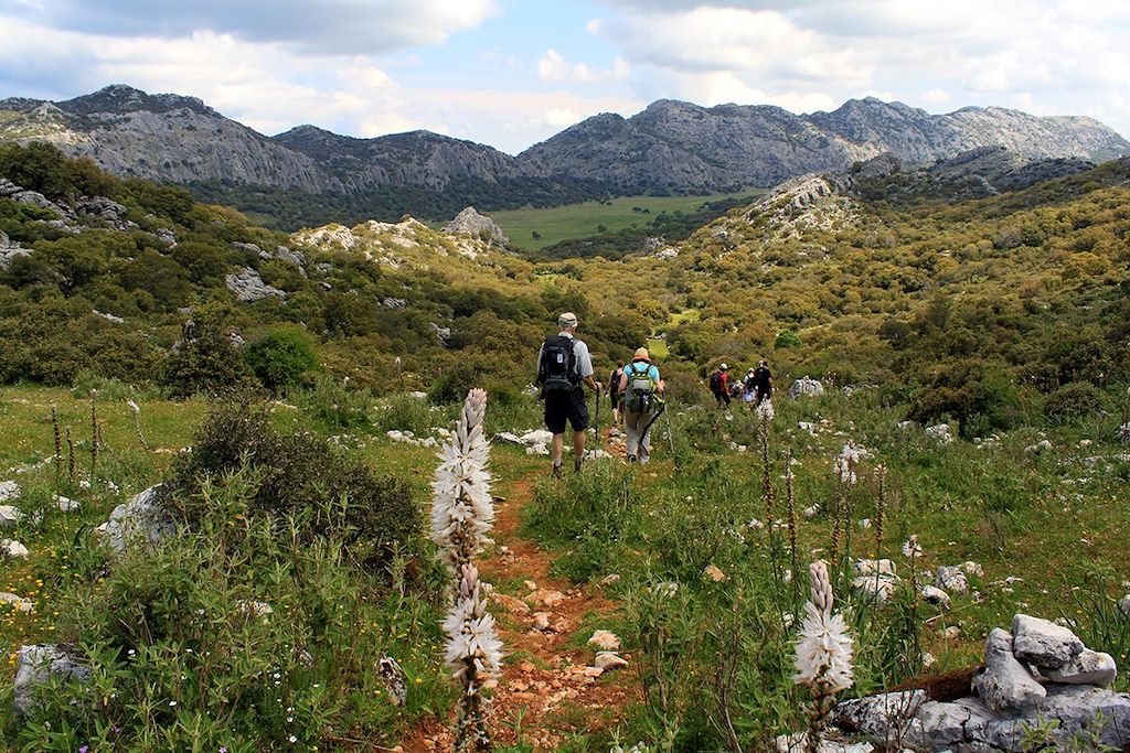Voyage De Séville aux villages blancs de Grazalema 2