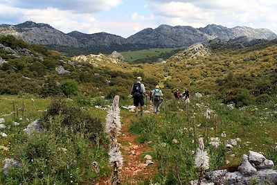 Voyage De Séville aux villages blancs de Grazalema 2