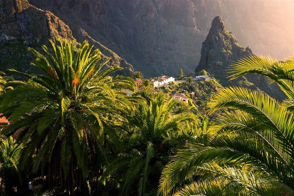 Voyage Les massifs volcaniques de Tenerife