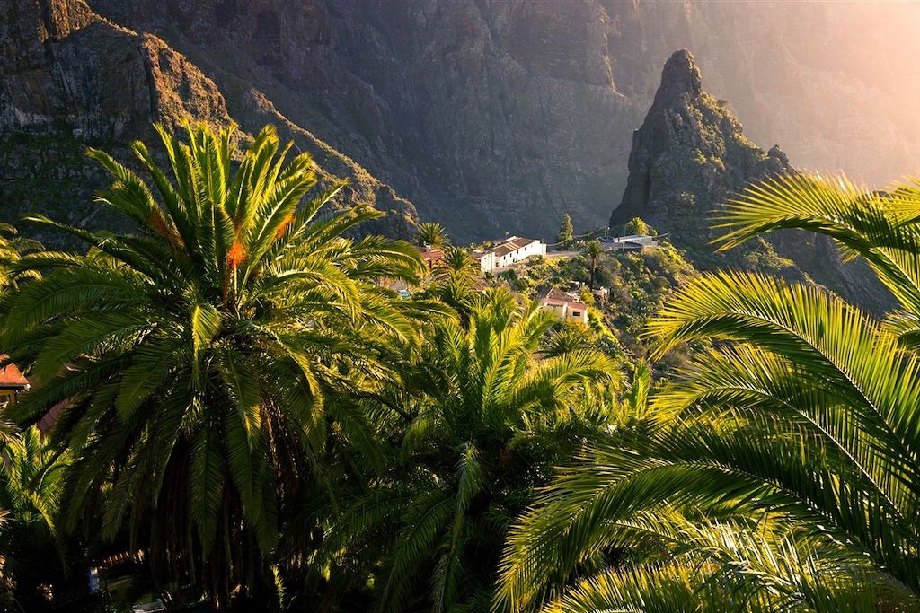 Les massifs volcaniques de Tenerife