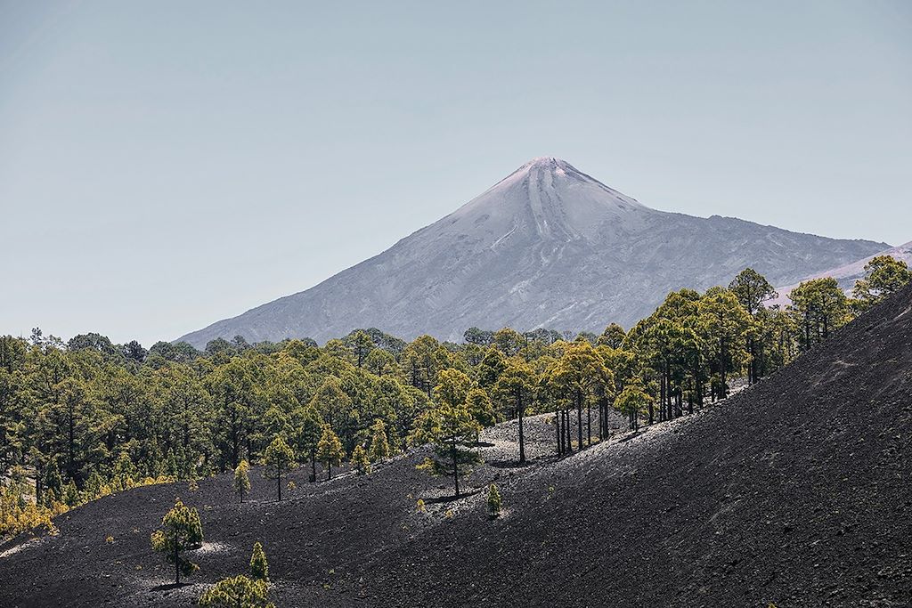 Voyage Les massifs volcaniques de Tenerife 2