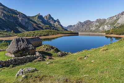 Voyage Sur les traces de l'ours brun des Asturies 3