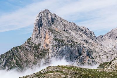 Voyage Sur les traces de l'ours brun des Asturies 1
