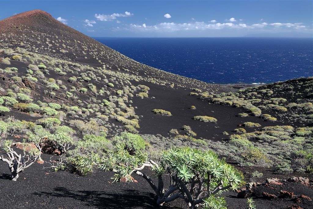 Voyage Volcans de Tenerife et de La Palma 2