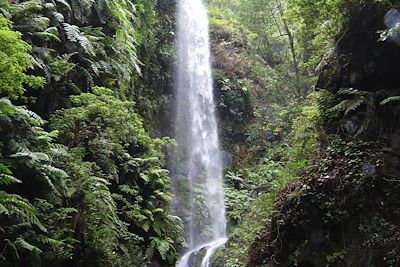 Voyage La Palma, île merveilleuse  3
