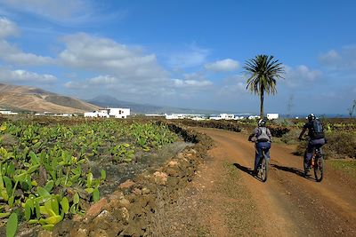 Voyage Lanzarote, terre de volcans à vélo 2