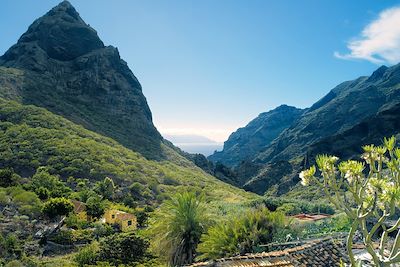 Voyage Tenerife, terre de contrastes 1