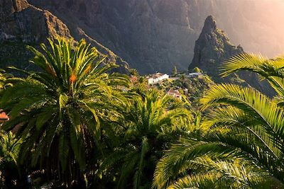 Parc Masca - île de Ténérife - Iles Canaries - Espagne