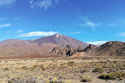 © Claire Paze - Parc national du Teide - Tenerife - Îles Canaries - Espagne Parc national du Teide - Tenerife - Îles Canaries - Espagne