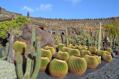 Jardin de cactus Guatiza - Lanzarote - Îles Canaries - Espagne