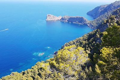 © David Casajuana Godoy - Majorque - Baléares - Espagne Majorque - Baléares - Espagne
