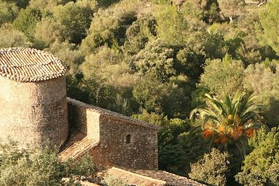 © David Casajuana Godoy - Majorque - Baléares - Espagne Majorque - Baléares - Espagne