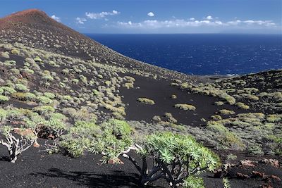 Voyage Volcans de Tenerife et de La Palma 1
