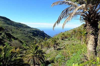 Voyage Monts et merveilles de La Gomera 1