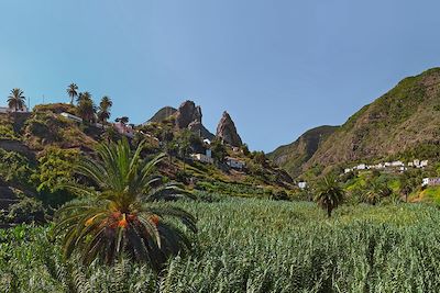 Tenerife et Gomera, randonnées enchantées