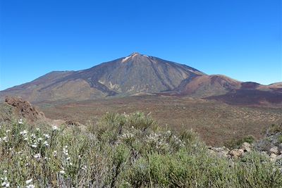 Parc national du Teide, ascension de la montagne Guajara - Tenerife - Canaries - Espagne