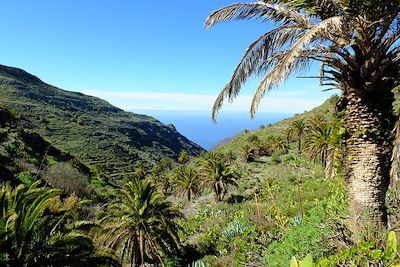 © Thomas Colmaire - Barranco Valle Gran Rey - La Gomera - Canaries - Espagne Barranco Valle Gran Rey - La Gomera - Canaries - Espagne