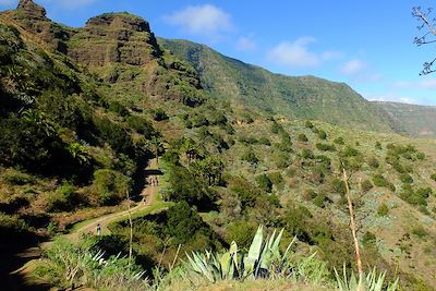 Voyage Randonnées et baignades à Tenerife et Gomera 3