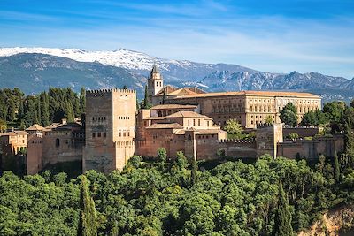 Alhambra de Grenade - Andalousie - Espagne