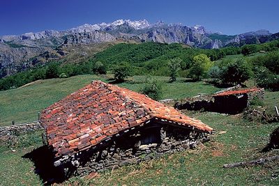Majada de les Bedules - Reserva Natural Parcial de Peloño - Asturies - Espagne